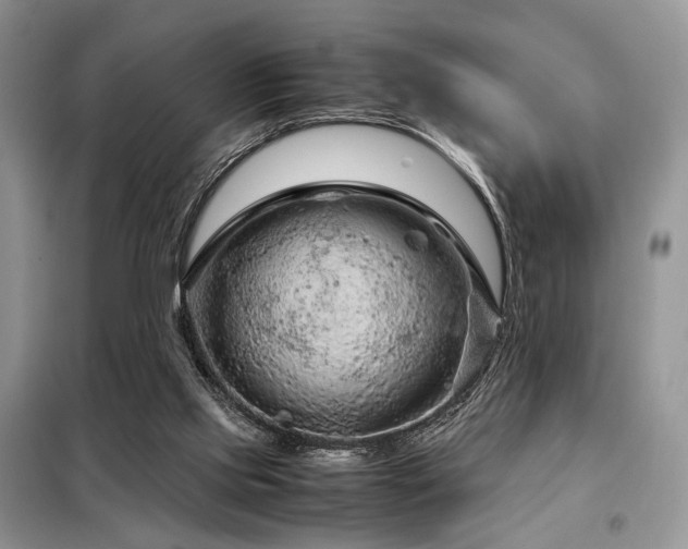 X0000099290061200805021241