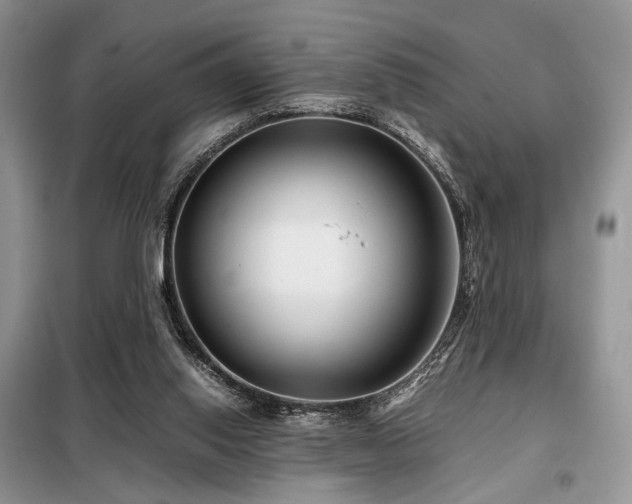 X0000099290062200805021241