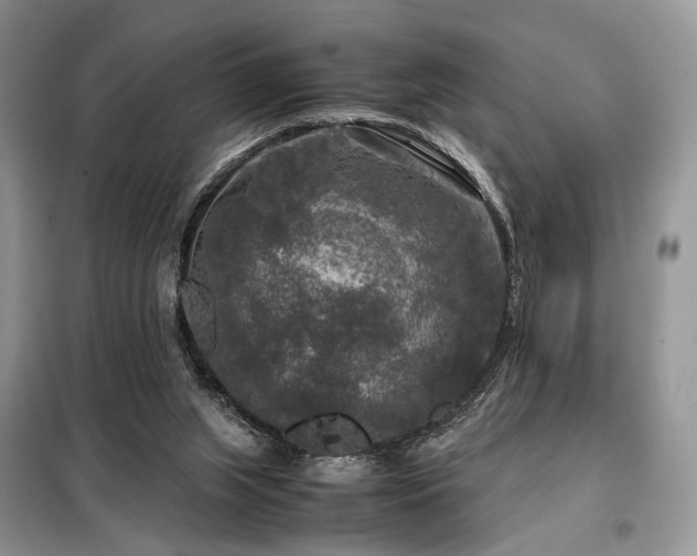X0000099290063200805021241