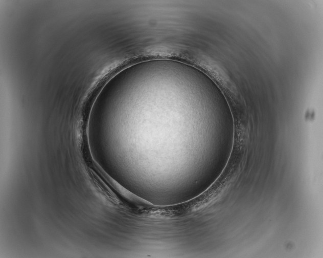 X0000099290064200805021241