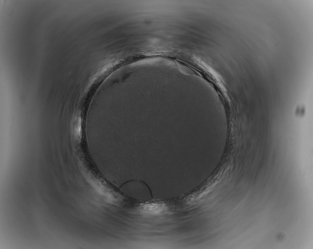 X0000099290067200805021241