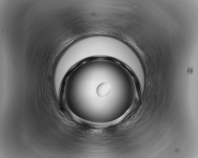 X0000099290068200805021241