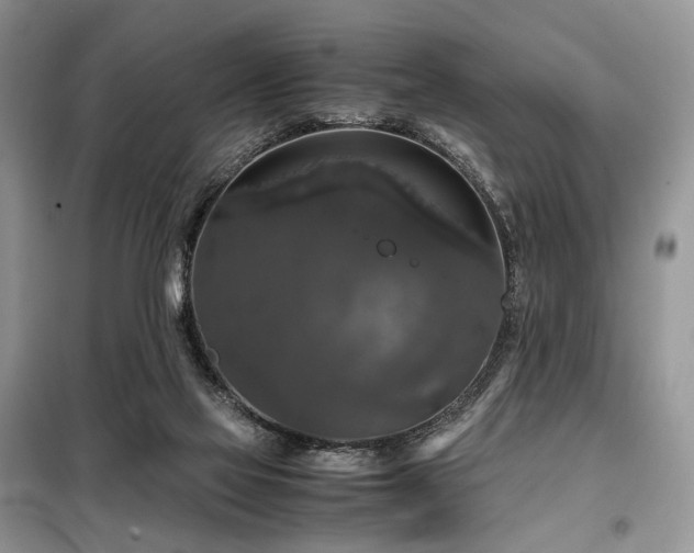 X0000099290069200805021241