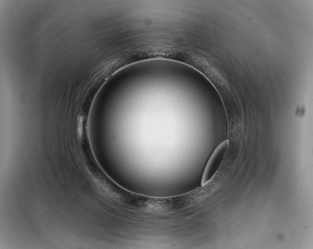 X0000099290070200805021241