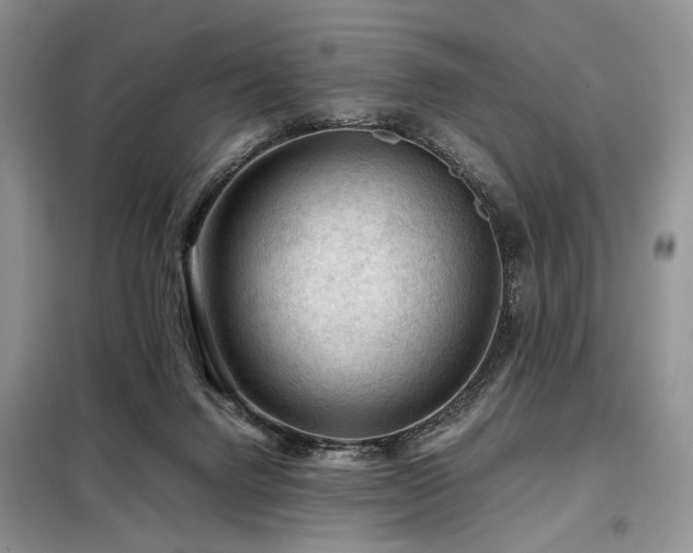 X0000099290072200805021241