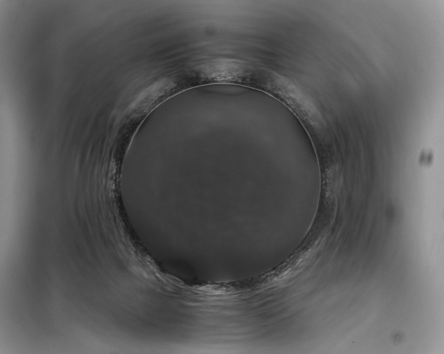 X0000099290073200805021241