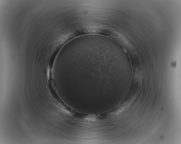 X0000099290076200805021241