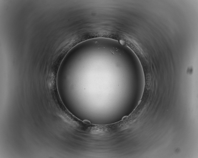 X0000099290077200805021241