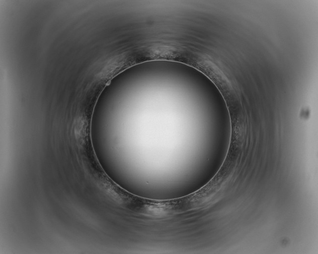 X0000099290079200805021241