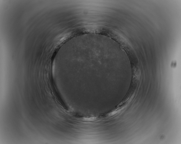 X0000099290080200805021241