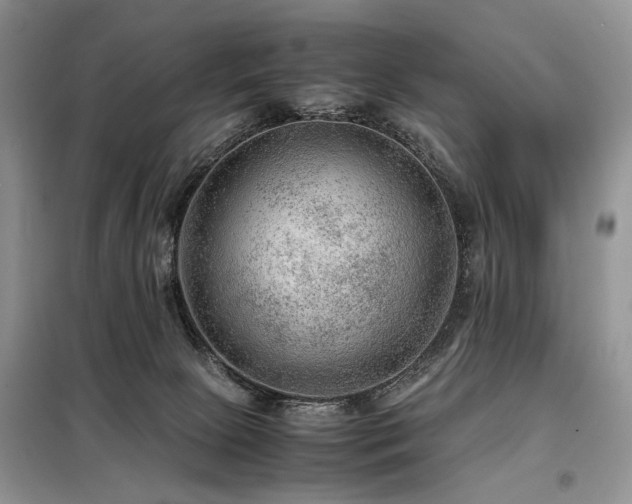 X0000099290081200805021241