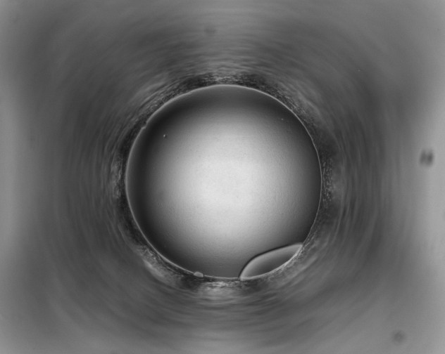 X0000099290082200805021241