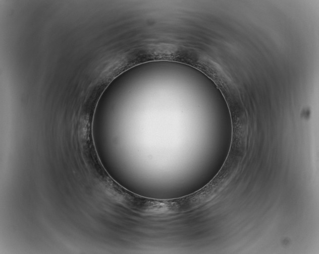 X0000099290083200805021241