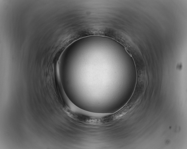 X0000099290084200805021241
