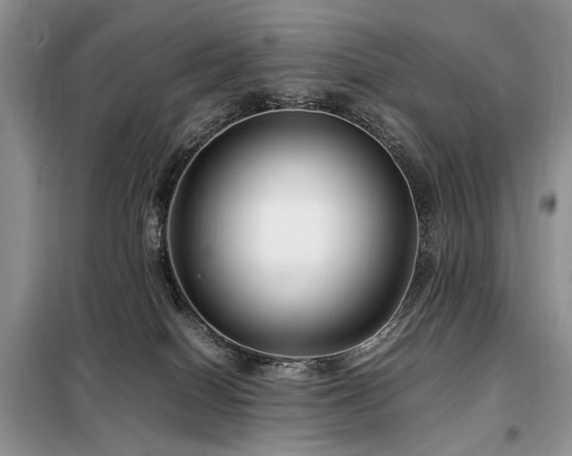 X0000099290086200805021241