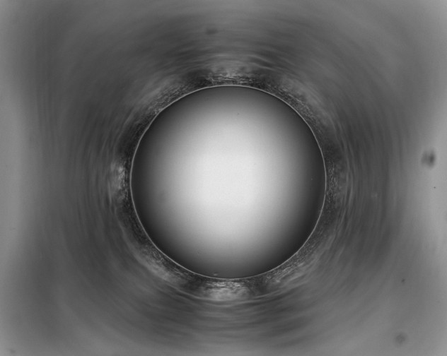 X0000099290087200805021241