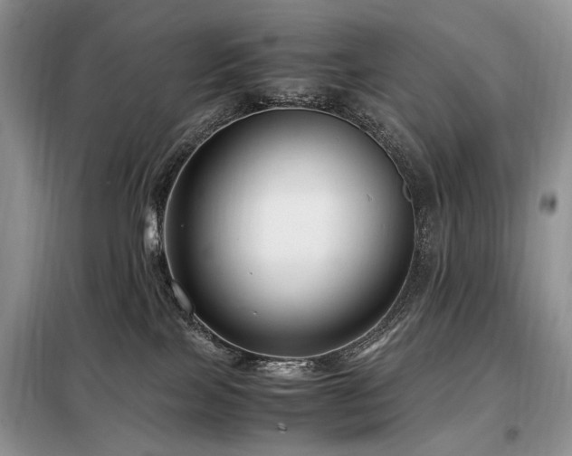 X0000099290089200805021241