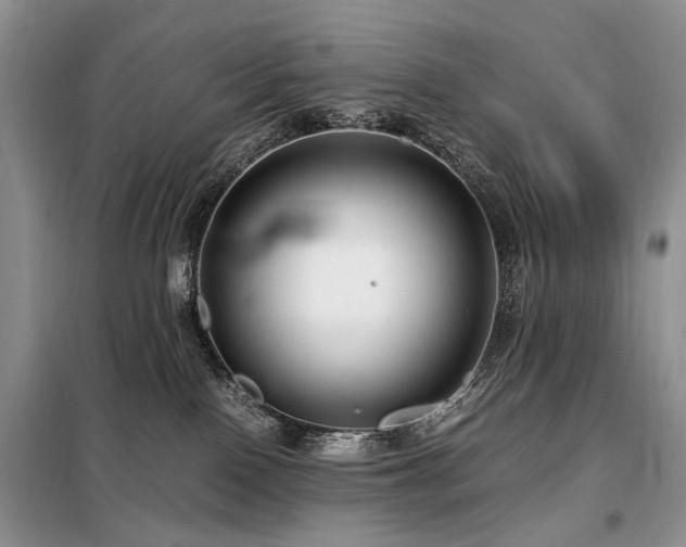 X0000099290090200805021241