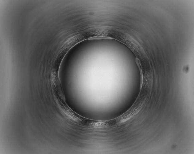 X0000099290092200805021241