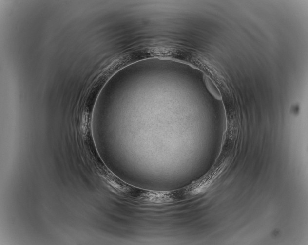 X0000099290093200805021241