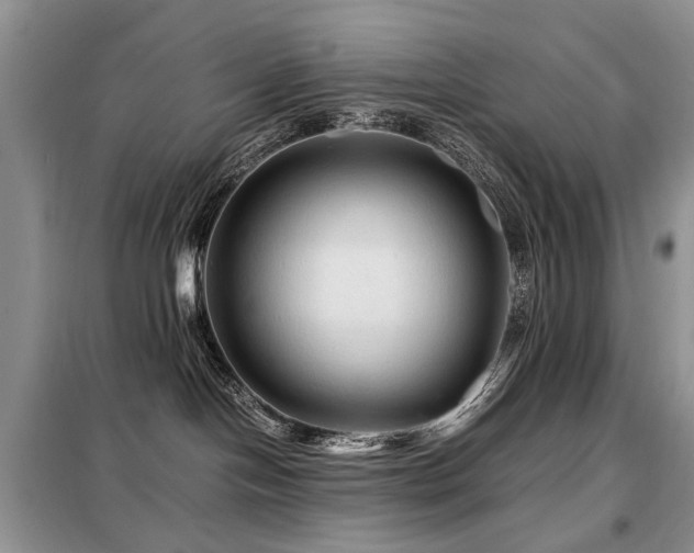 X0000099290094200805021241