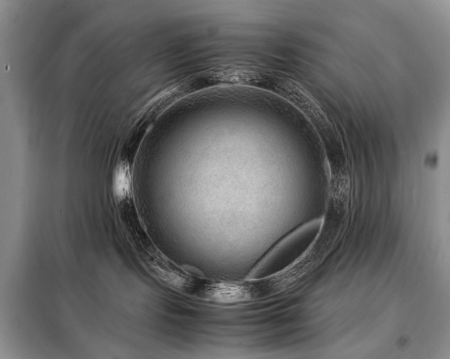 X0000099290095200805021241