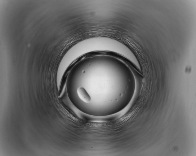 X0000099290096200805021241