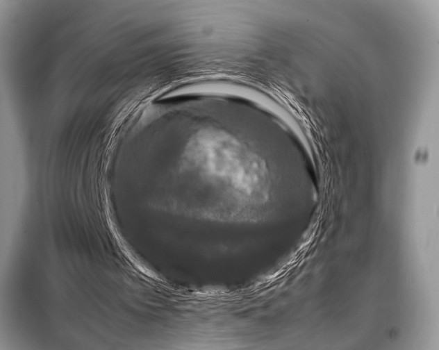 X0000099290097200805021241