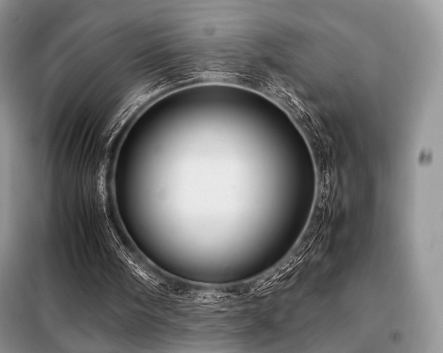 X0000099290098200805021241