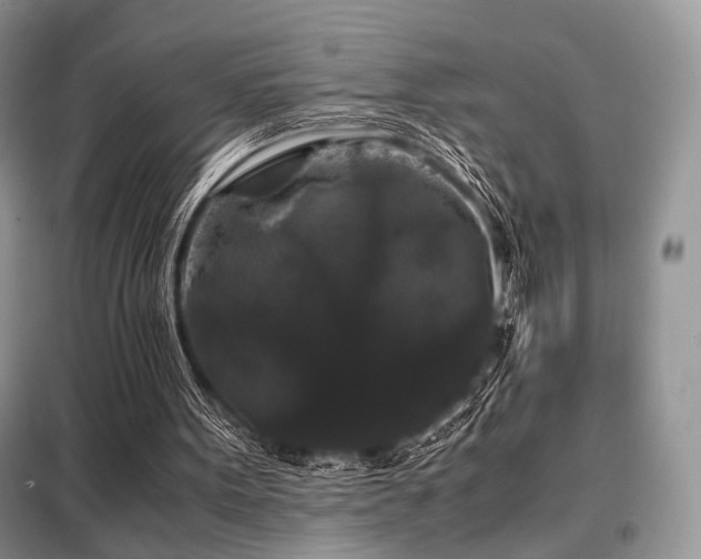 X0000099290099200805021241
