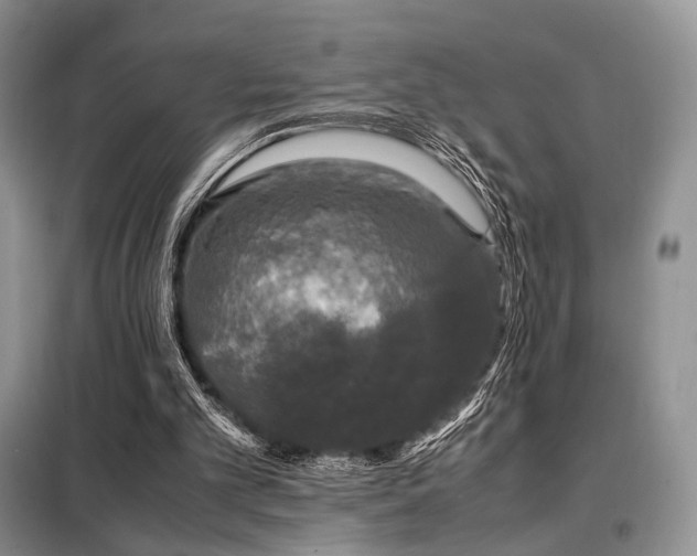 X0000099290101200805021241