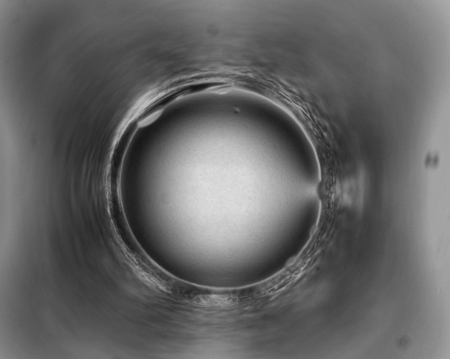 X0000099290102200805021241