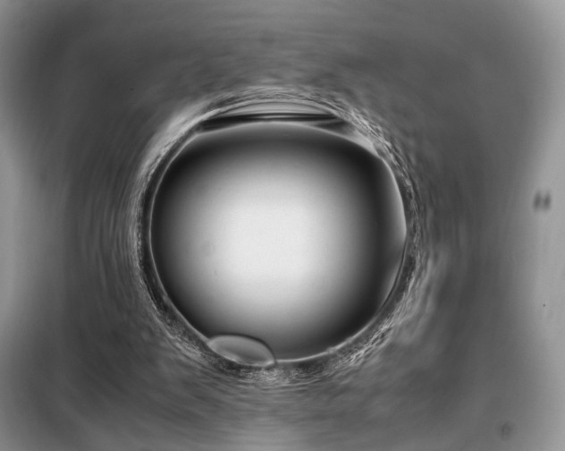 X0000099290103200805021241