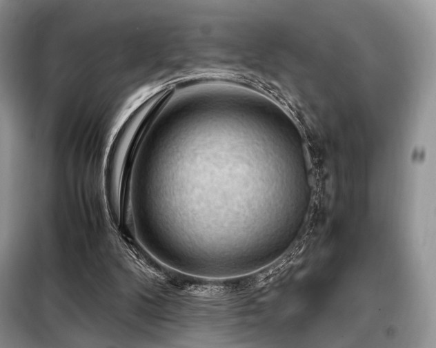 X0000099290104200805021241