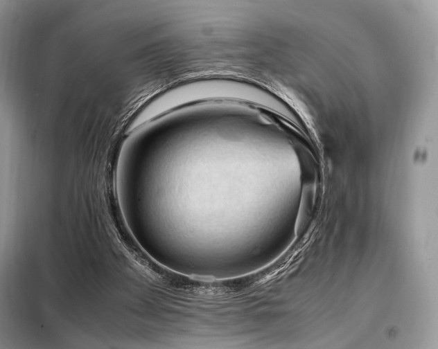 X0000099290105200805021241