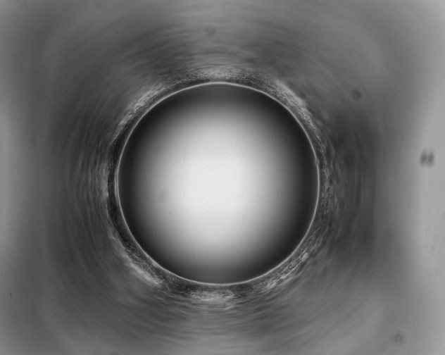 X0000099290106200805021241