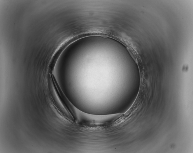 X0000099290108200805021241