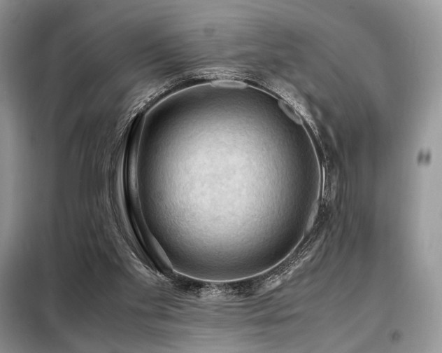X0000099290109200805021241