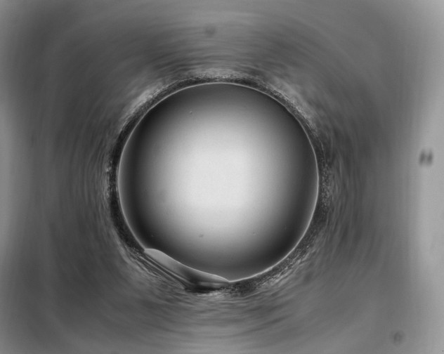 X0000099290111200805021240