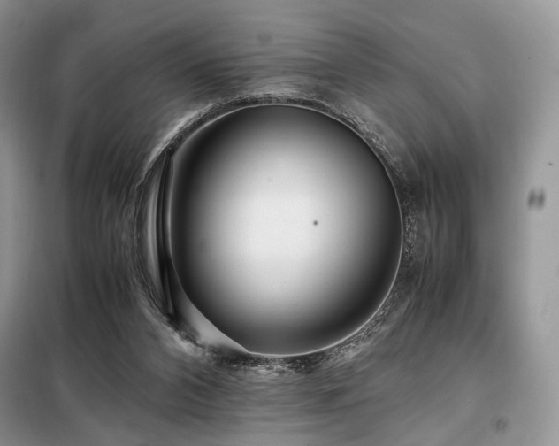 X0000099290112200805021240