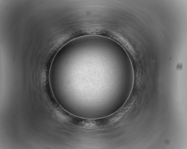 X0000099290113200805021240