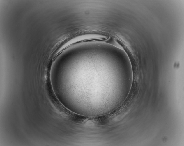 X0000099290115200805021240