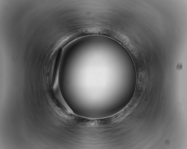 X0000099290116200805021240