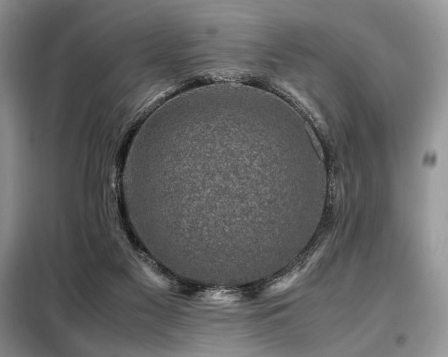 X0000099290117200805021240