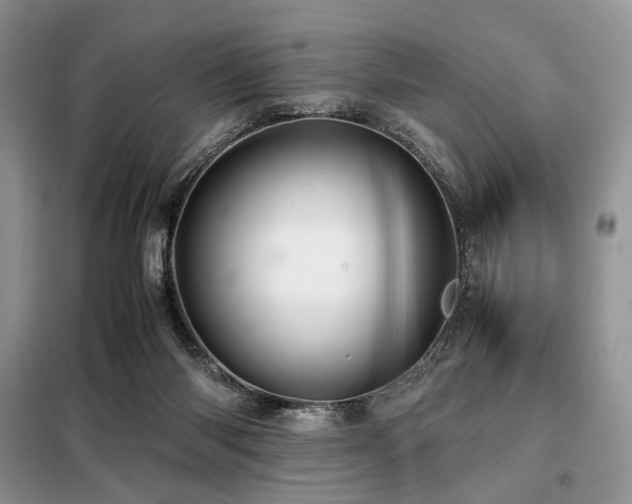 X0000099290118200805021240