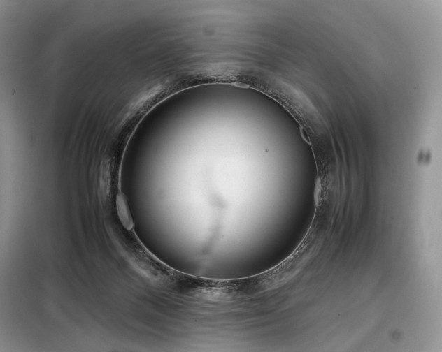 X0000099290120200805021240