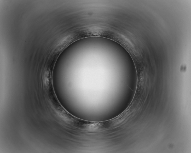 X0000099290122200805021240