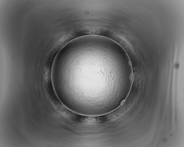X0000099290123200805021240