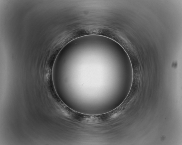 X0000099290125200805021240