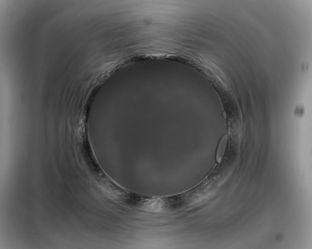 X0000099290127200805021240